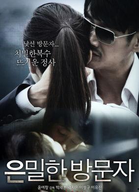 隐秘访问者在线观看,在线观看背后的故事与真相